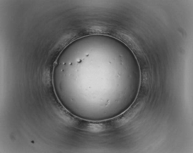 X0000111880457200907231538