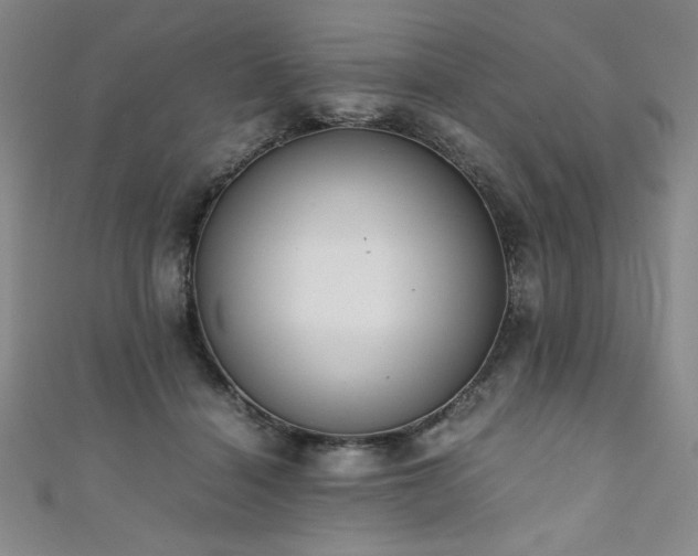 X0000111880460200907231538