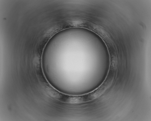 X0000111880461200907231538