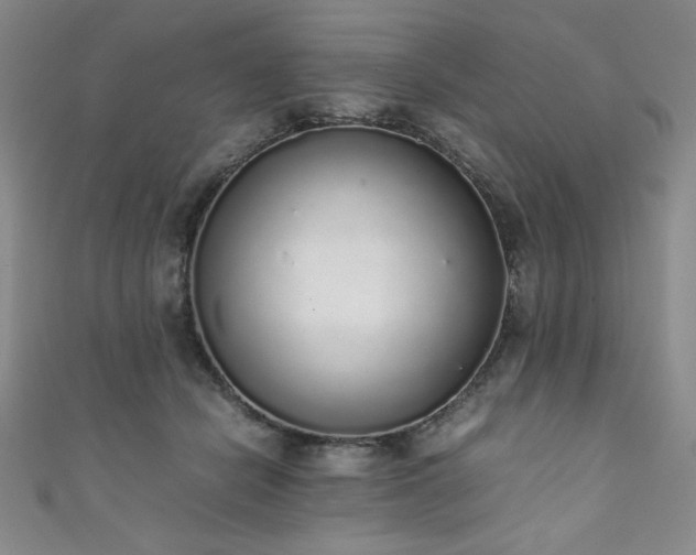 X0000111880462200907231538