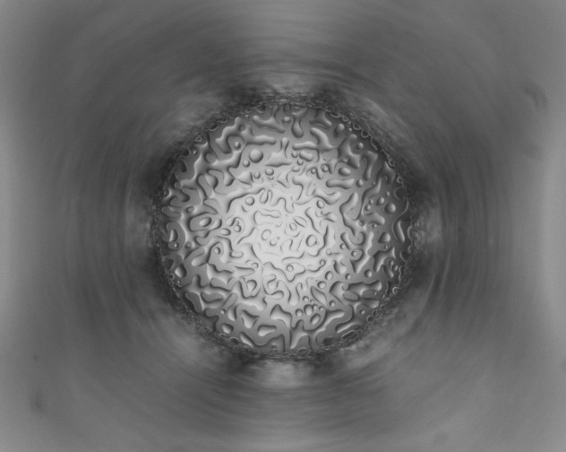 X0000111880464200907231538