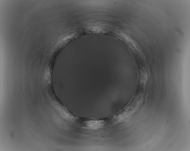 X0000111880465200907231538