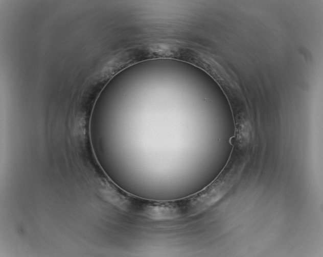 X0000111880466200907231538
