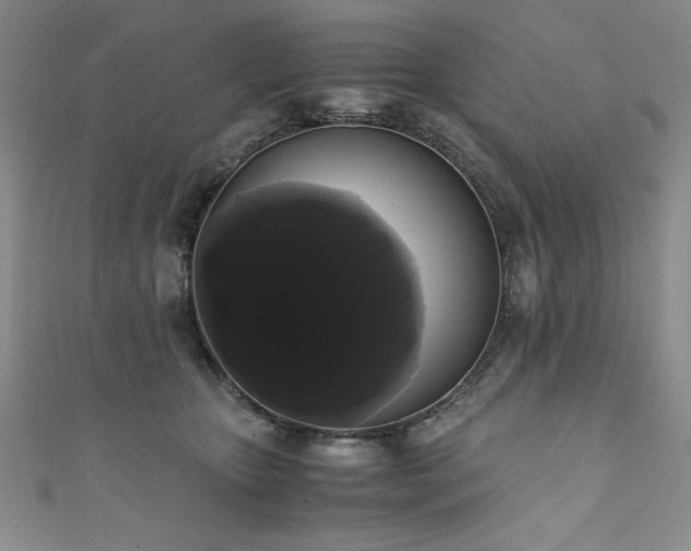 X0000111880467200907231538
