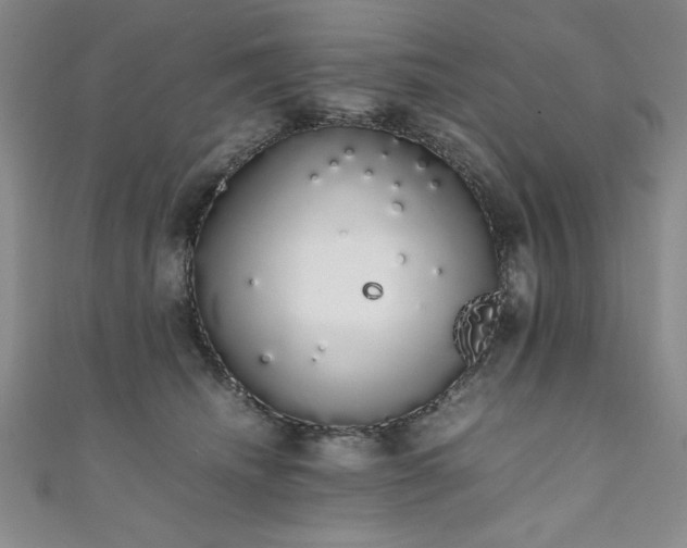 X0000111880468200907231539