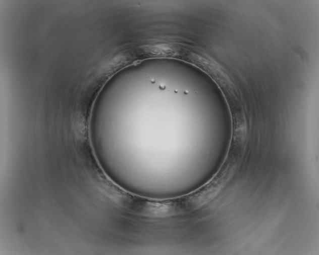 X0000111880469200907231539