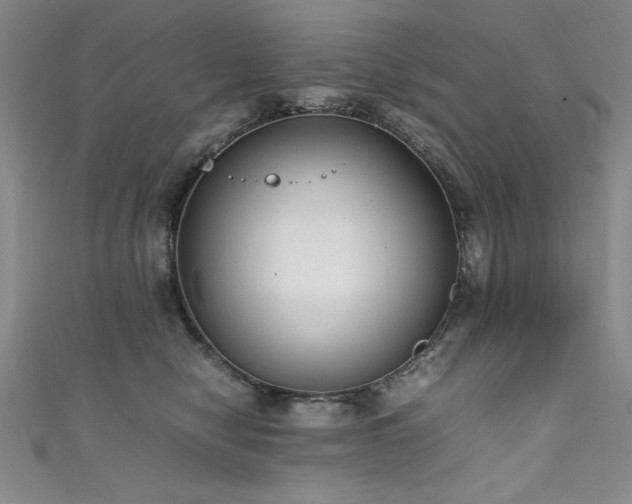 X0000111880470200907231539