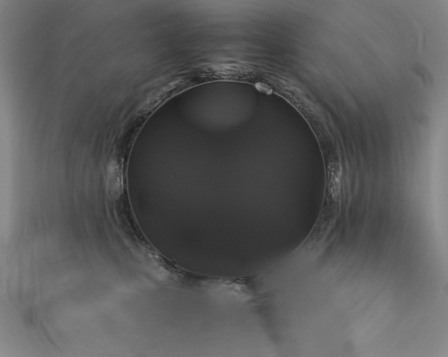 X0000111880471200907231539