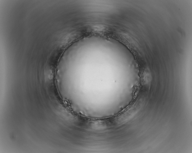 X0000111880472200907231539