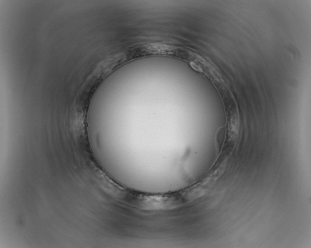 X0000111880473200907231539