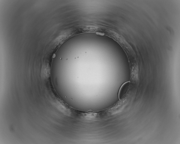 X0000111880474200907231539