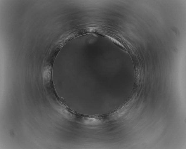 X0000111880475200907231539
