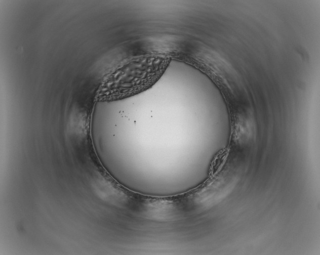 X0000111880476200907231539