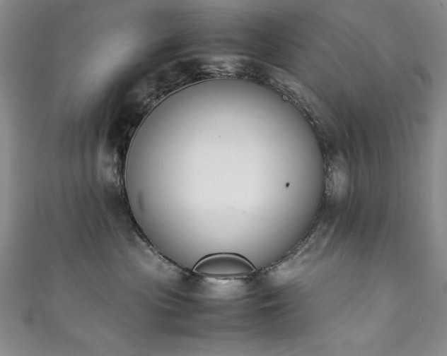 X0000111880477200907231539