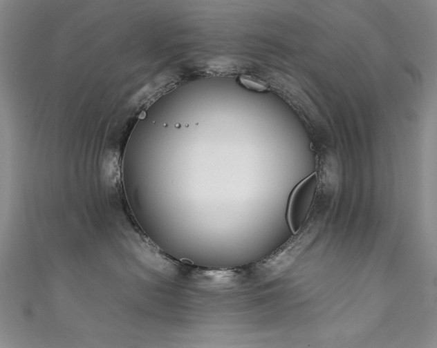 X0000111880478200907231539