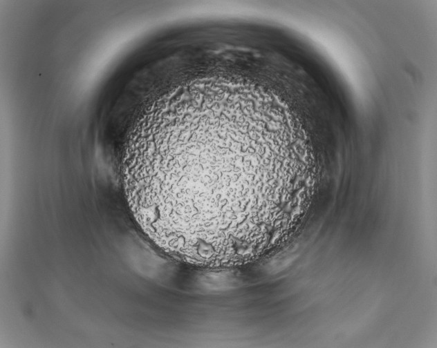 X0000111880479200907231539