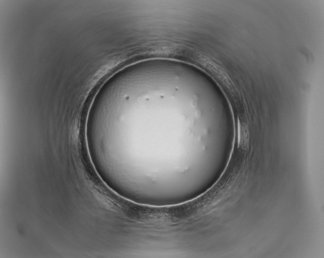 X0000111880483200907231538