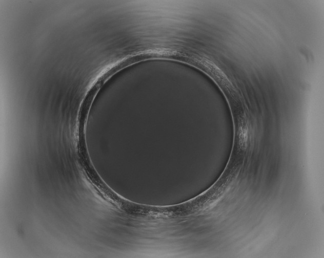 X0000111880484200907231538