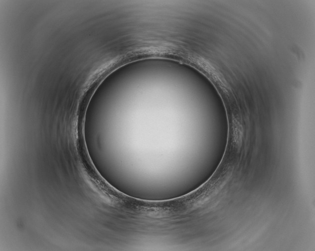 X0000111880486200907231538