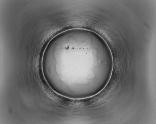 X0000111880487200907231538