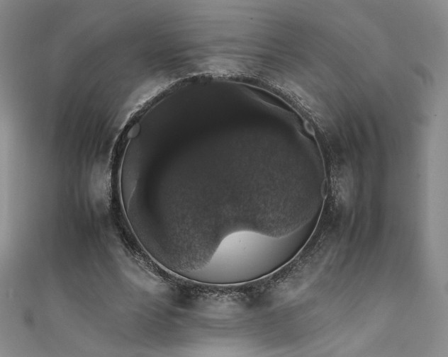 X0000111880488200907231538