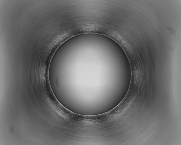 X0000111880490200907231538