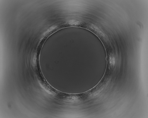 X0000111880492200907231538