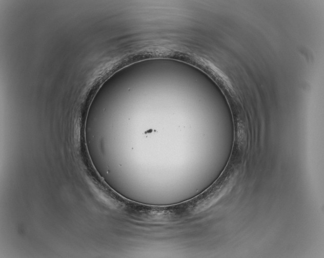 X0000111880493200907231538