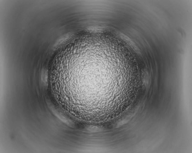 X0000111880494200907231538