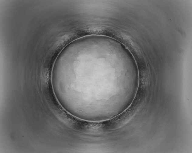 X0000111880495200907231538