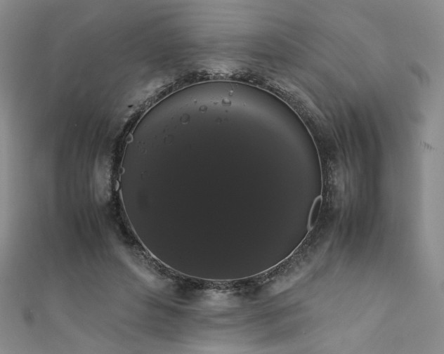 X0000111880496200907231538