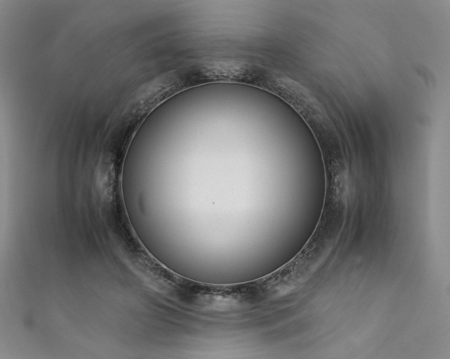 X0000111880498200907231538