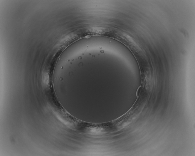 X0000111880500200907231538