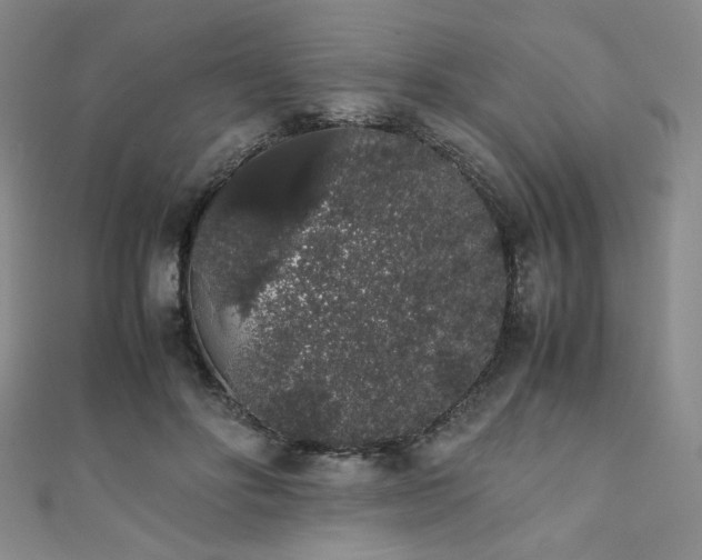 X0000111880502200907231538