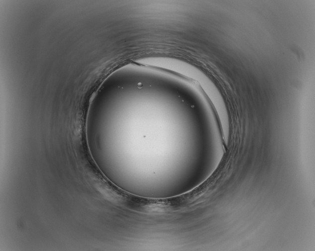 X0000111880505200907231538
