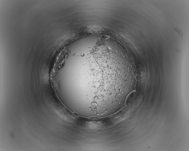 X0000111880508200907231538