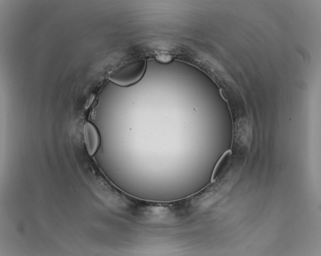 X0000111880509200907231538