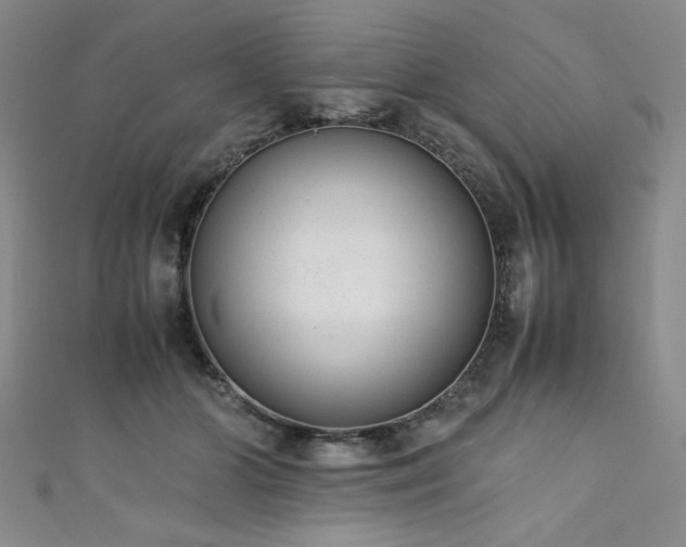 X0000111880510200907231538