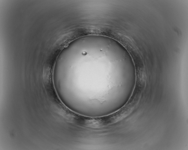 X0000111880511200907231538