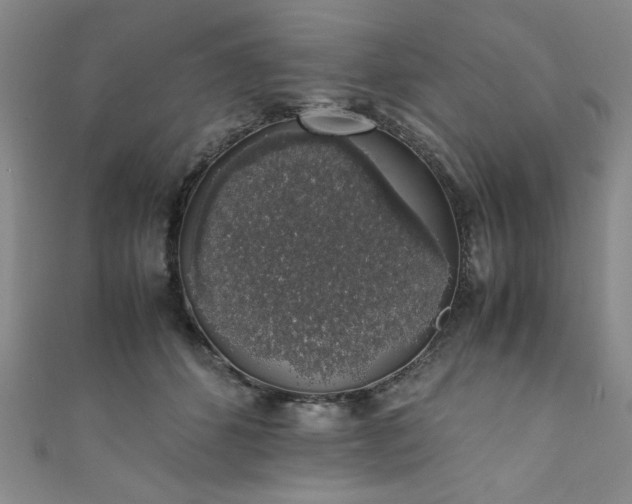 X0000111880512200907231538
