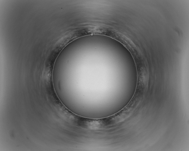 X0000111880513200907231538