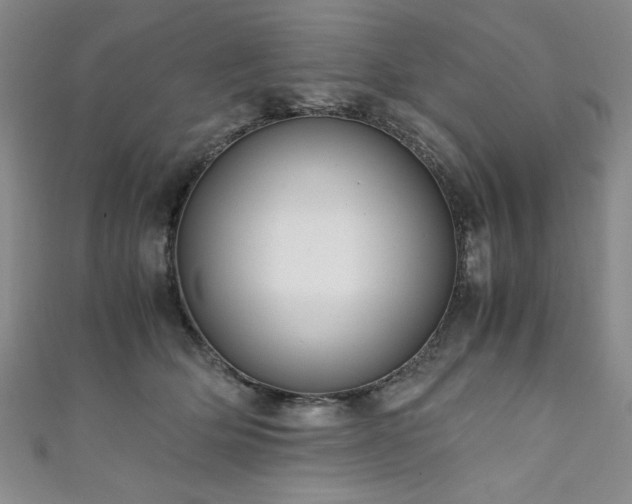 X0000111880514200907231538