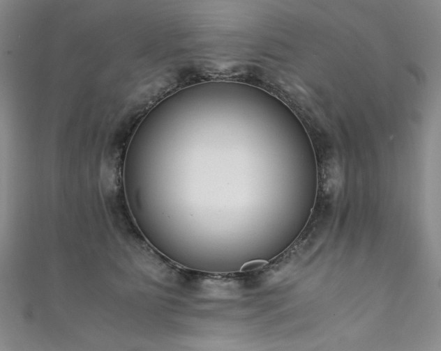 X0000111880515200907231538