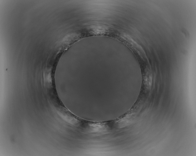 X0000111880516200907231538