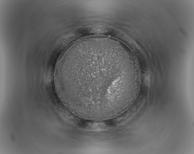 X0000111880517200907231538