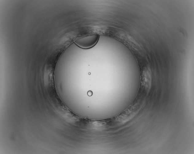 X0000111880522200907231537