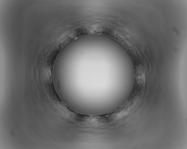 X0000111880523200907231537