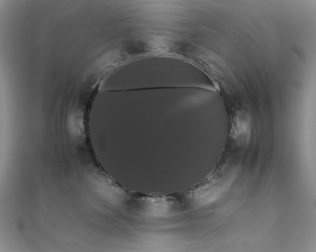 X0000111880524200907231537