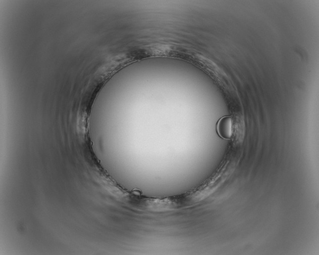 X0000111880525200907231537