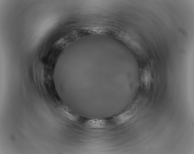 X0000111880526200907231537